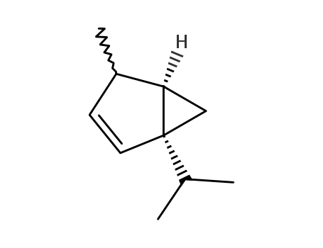 β-thujene